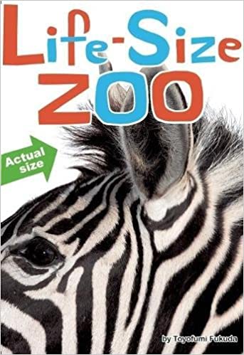 Life-Size Zoo, Teruyuki Komiya