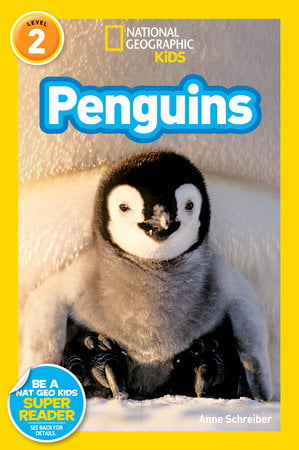 Pingüinos Anne Schreiber, ¡Pingüinos!